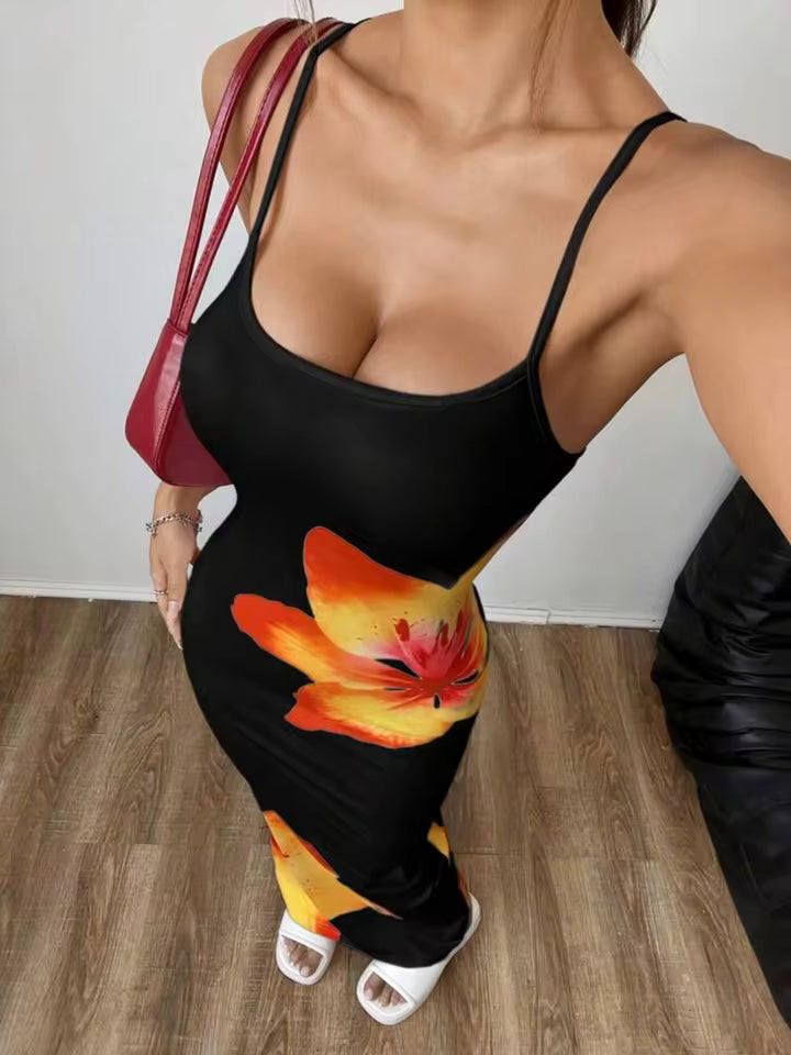 Velisse
